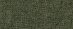 Olive 53