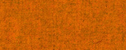 Mandarin 129