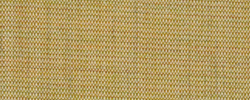 Canvas 0414