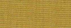 Canvas 0446