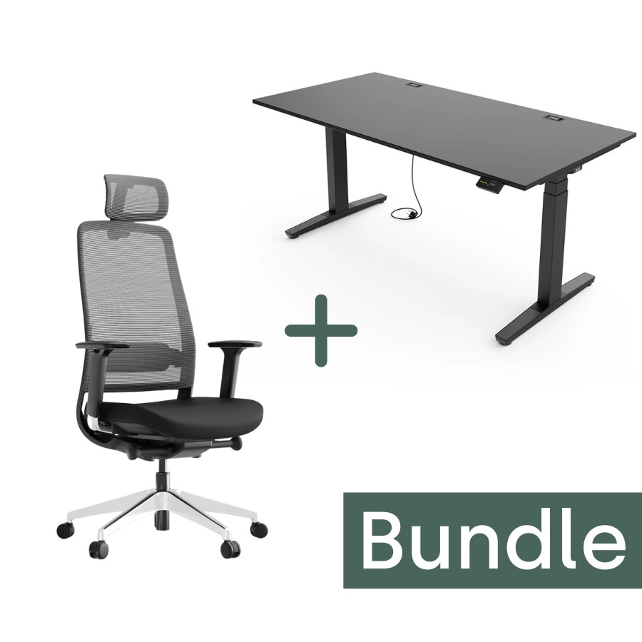 BUNDLE: Yaasa Desk Expert und Chair Expert | schwarz