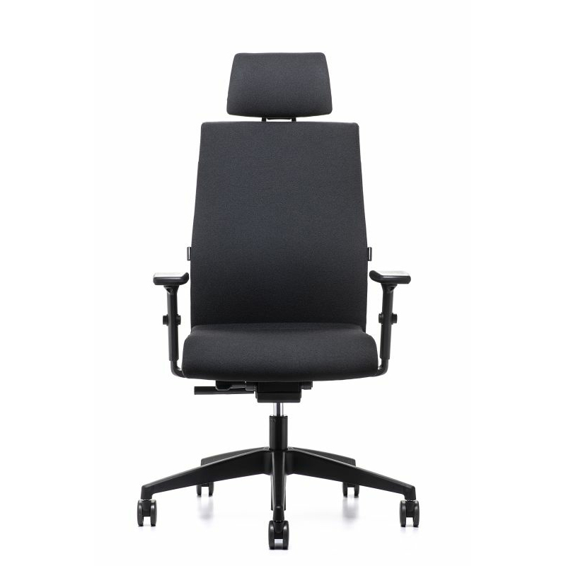 nterstuhl Aktionsmodell Ergonomic 179RS mit Kopfstütze