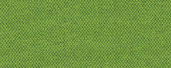 Era 2046 grün