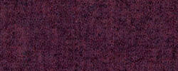 Purple 78