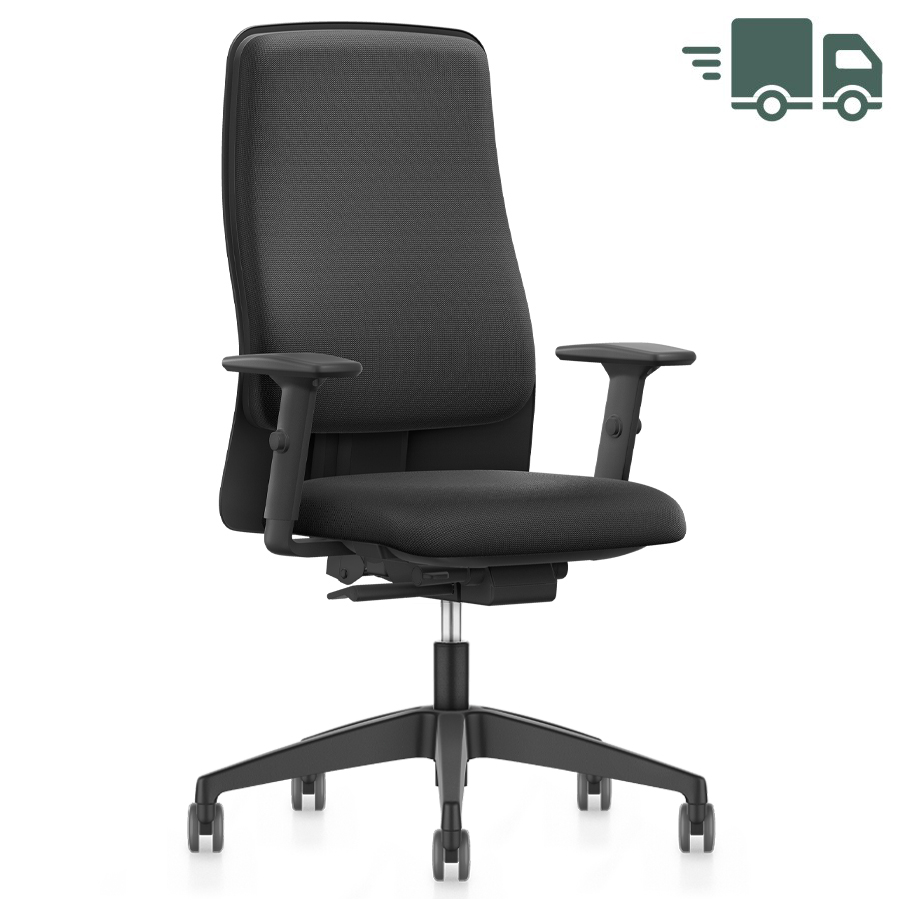 Interstuhl Ergonomic 152II Bürostuhl | Polsterrücken | Autolift-Mechanik