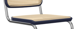 Buche schwarzblau TP 295
