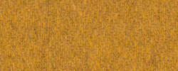 Mustard 63