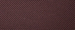 aubergine