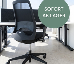 Brosthle sofort ab lager