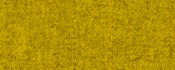 Yellow 24