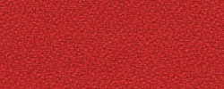 Xtreme rot  079