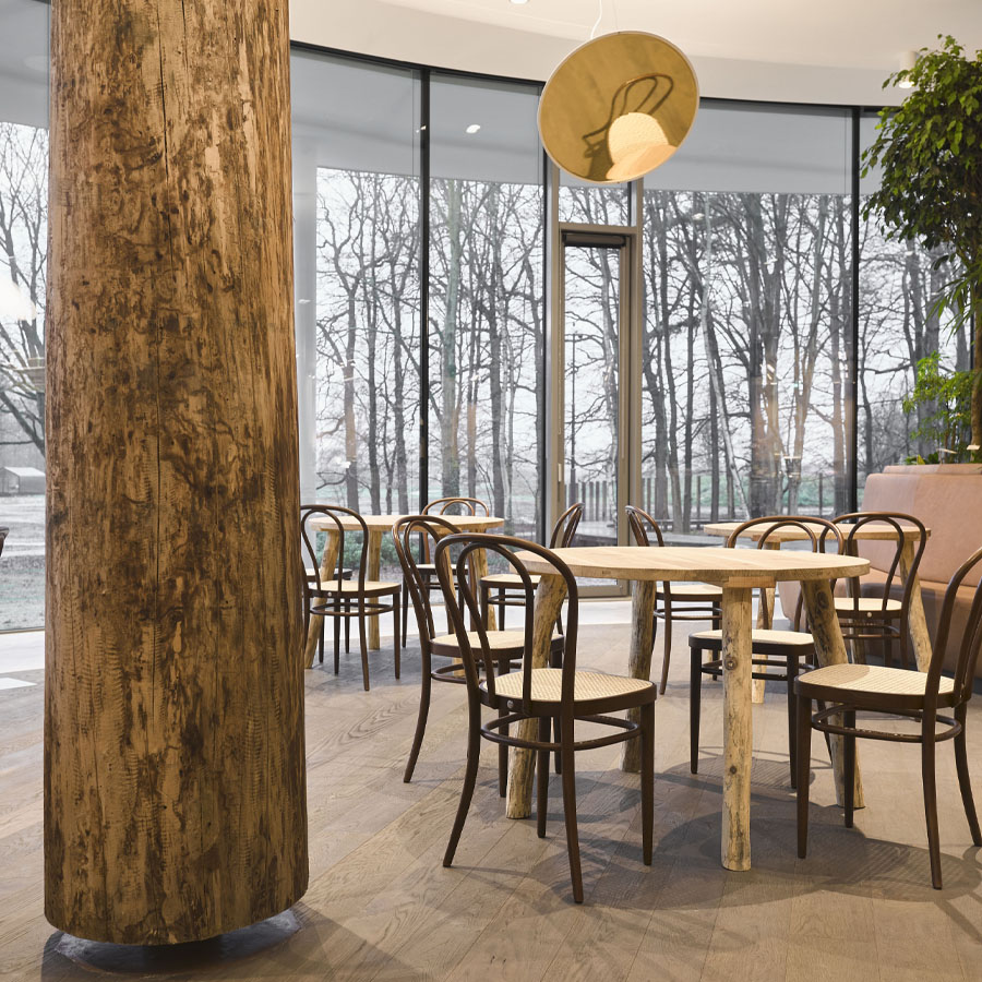 THONET 218 Bugholzstuhl Bistrostuhl - Beispielbild