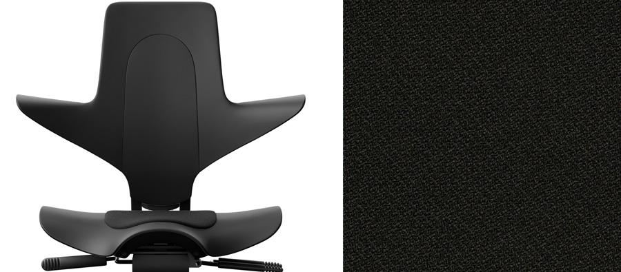 Schwarz + Xtreme schwarz 009 (PG1)