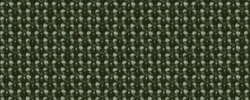 Netz olive 2021