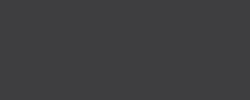 Cosmos Grey