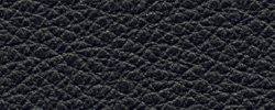 Leder 4880 Schwarz