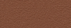 Premiumleder Cognacbraun 2840