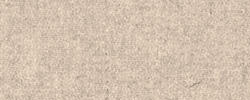 Beige 1037