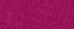 Fuchsia 77