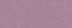 Wool Orchid