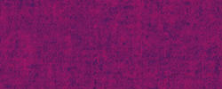 Prune 78