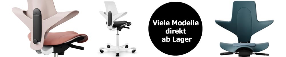 Banner-Pulse