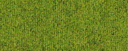 Grass 59