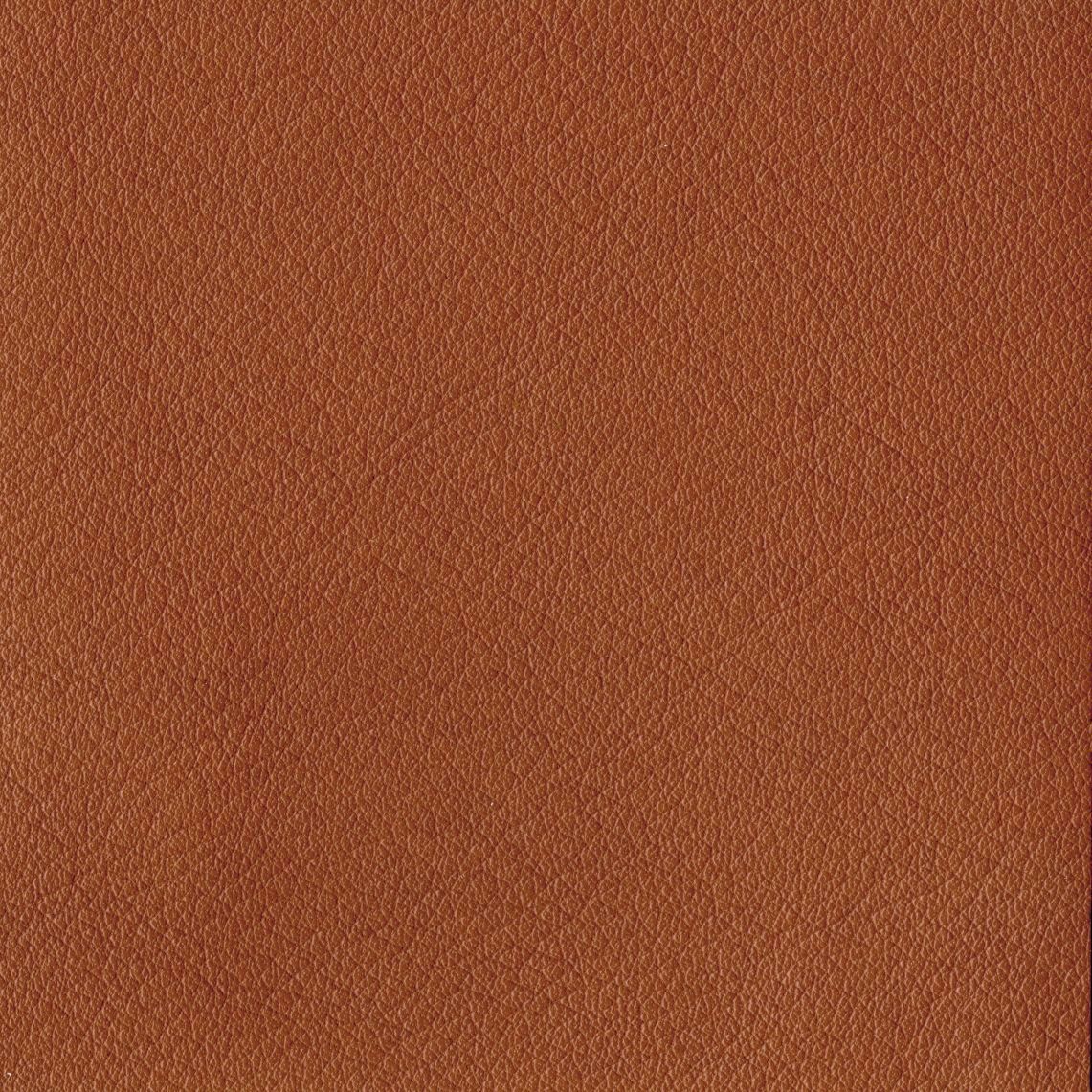 Leder B 478