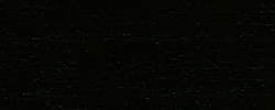 Schwarz TP 29