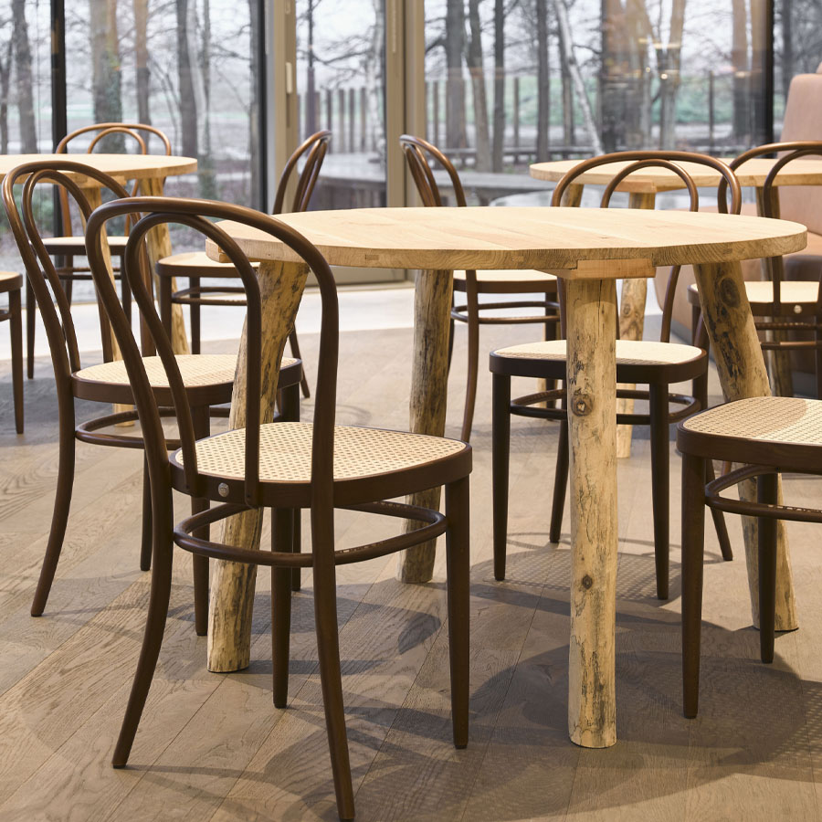 THONET 218 Bugholzstuhl Bistrostuhl - Beispielbild