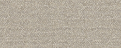 Cento angora