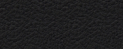 Premiumleder schwarz 2900