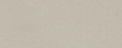 PP05 Beige