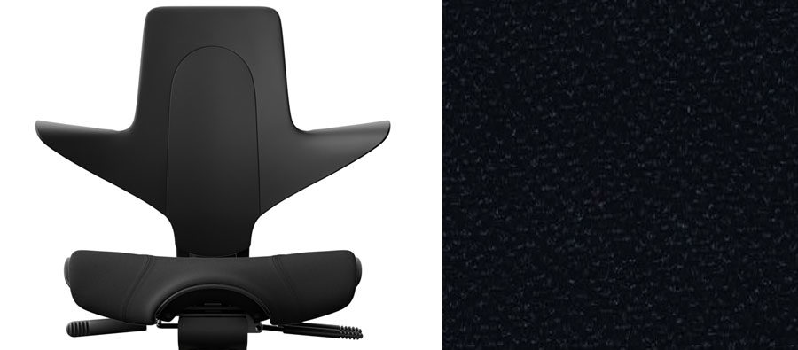Schwarz + Xtreme Schwarz 009 (PG 1)