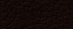 Leder S-18