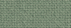 Cura 68186
