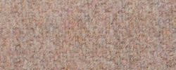 Nude 70