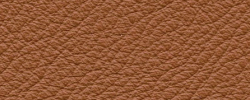 Leder Premium Plus 4805 hellbraun 2480