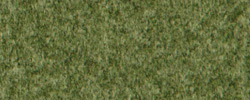 Fenno 17 Grün