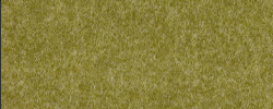 Hush Farbe 569 - Grün