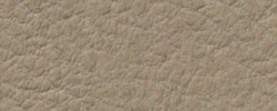 Premiumleder beige 2180