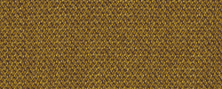 Capture Ocker - 6401