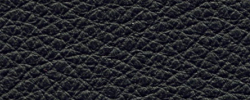 Leder Premium Plus 4880 schwarz 2900