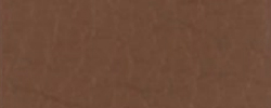 Scandinavian Leder 2488 cognac
