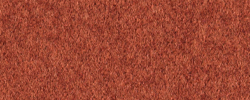 Fenno 19 Orange