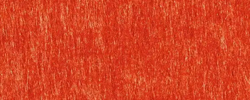 Koralle