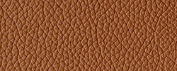 Ultra Brandy - M144