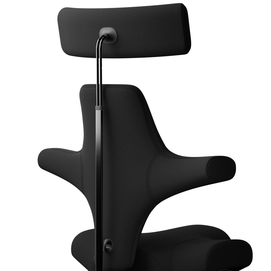 Hag Capisco 8107 mit Kopfstütze - Rückansicht  Detail