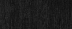 Holz Buche schwarz gebeizt H5