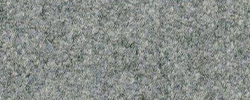 Agava 550 Grau